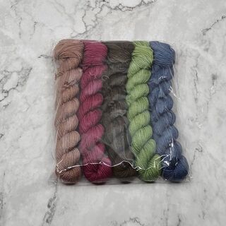 5 x 20g Mini Skein Set - Set 18 on 4ply Supernova