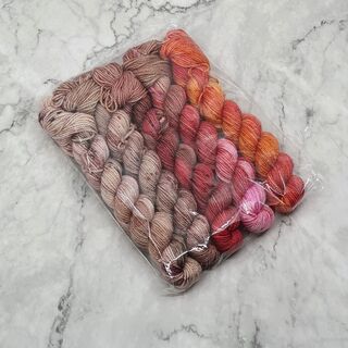 5 x 20g Mini Skein Set - The Set List on 4ply Twinkle